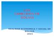 LOS CAMELIDOS EN BOLIVIA REALIDAD ECONOMICA Y SOCIAL DE BOLIVIA 2015