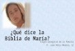 ¿Qué dice la Biblia de María? Virgen peregrina de la familia P. José Félix Medina, LC