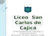Liceo San Carlos de Cajicá “Emprendedores con Liderazgo y Conciencia Social” Resolución Nº 6254 -Registro I CFES 147025 Cl. 1 Nº 8ª-23/ Cra. 8ª Nº 0-31
