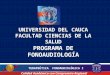 UNIVERSIDAD DEL CAUCA FACULTAD CIENCIAS DE LA SALUD PROGRAMA DE FONOAUDIOLOGÍA Calidad Académica con Compromiso Regional y Nacional TERAPEÚTICA FONOAUDIOLÓGICA