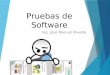 Pruebas de Software Ing. José Manuel Poveda 1. Definiciones!!! 2