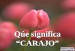 Qúe significa “CARAJO”. Según la Real Academia Española, "CARAJO" es la palabra con la que se nominaba a la pequeña canastilla que se encontraba en lo