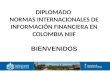DIPLOMADO NORMAS INTERNACIONALES DE INFORMACIÓN FINANCIERA EN COLOMBIA NIIF BIENVENIDOS