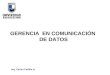 Ing. Carlos Padilla H. GERENCIA EN COMUNICACIÓN DE DATOS