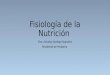 Fisiología de la Nutrición Dra. Aniuska Sandigo Sequeira Residente de Pediatria
