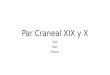 Par Craneal IX y X