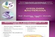 Citologia Bacteriana 2011