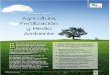 Agricultura, fertilización y medio ambiente(1).pdf