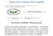 Isolasi DNA Plasmid (Bioteknologi)