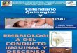 Seminario Carem y Tony Calendario Quirurgico y Patologia Inguinal