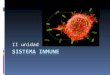 Celulas Del Sistema Inmune