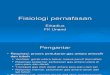 Fisiologi pernafasan.ppt