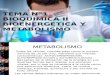 Bioquimica II, bioenergetica y metabolismo