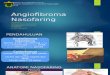 Angiofibroma Nasofaring Presentation