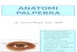 Anatomi PALPEBRA Dan Sistem Lakrimal Edit