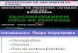 Bq 15 Chi 5 Gluconeogenesis Pentosas
