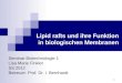 1 Lipid rafts und ihre Funktion in biologischen Membranen Seminar Biotechnologie 1 Lisa Marie Finkler SS 2012 Betreuer: Prof. Dr. I. Bernhardt