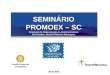 SEMINÁRIO PROMOEX – SC Programa de Modernização do Controle Externo dos Estados, Distrito Federal e Municípios MAIO 2008 Conselho Federal de Contabilidade