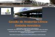 Sessão de Anatomia Clínica: Embolia Amniótica Apresentação: Carolina Ferreira Lang R2/OBGYN Coordenação: Ana Célia Rocha, Olivia Félix Marconi (R3 em Patologia0,