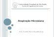 Universidade Estadual de São Paulo Escola de Engenharia de Lorena Prof. Arnaldo Marcio Ramalho Prata Respiração Microbiana