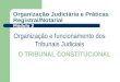 Organização Judiciária e Práticas Registral/Notarial O TRIBUNAL CONSTITUCIONAL Organização e funcionamento dos Tribunais Judiciais Módulo 2