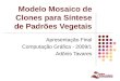 1 Modelo Mosaico de Clones para Síntese de Padrões Vegetais Apresentação Final Computação Gráfica - 2009/1 Adônis Tavares
