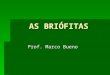 AS BRIÓFITAS Prof. Marco Bueno. AS BRIÓFITAS OS MUSGOSAS HEPÁTICAS..........A Flora briofítica do Brasil conta com 3.125 espécies distribuídas em 450