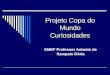 Projeto Copa do Mundo Curiosidades EMEF Professor Antonio de Sampaio D³ria