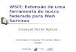WSIT: Extensão de uma ferramenta de busca federada para Web Services Emanuel Müller Ramos Orientador: Cláudio Fernando Resin Geyer
