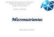 Micronutrientes UNIVERSIDADE ESTADUAL PAULISTA “JÚLIO DE MESQUITA FILHO” Câmpus de Ilha Solteira Adubos e Adubação 08 de maio de 2014