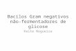 Bacilos Gram negativos não- fermentadores de glicose Keite Nogueira