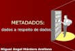 METADADOS: dados a respeito de dados Miguel Ángel Márdero Arellano