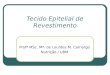 Tecido Epitelial de Revestimento Profª MSc. Mª. de Lourdes M. Camargo Nutrição / UBM