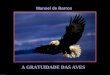 Manoel de Barros A GRATUIDADE DAS AVES Sempre que a gratuidade pousa em minhas palavras, elas são abençoadas por pássaros e por lírios