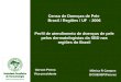 Censo de Doenças de Pele Brasil / Regiões / UF - 2006 Perfil de atendimento de doenças de pele pelos dermatologistas da SBD nas regiões do Brasil Gerson