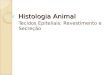 Histologia Animal Tecidos Epiteliais: Revestimento e Secreção