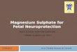 Magnesium Sulphate for Fetal Neuroprotection Anna Cândida Andrade de Camaret SOGC CLINICAL PRACTICE GUIDELINE J Obstet Gynaecol Can 2011 27/04/2012