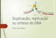 Duplicação, replicação ou síntese do DNA Vera Andrade