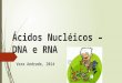 cidos Nucl©icos â€“ DNA e RNA Vera Andrade, 2014. Ncleo Envolt³rio nuclear Nucl©olo Cromatina Poro (complexo)