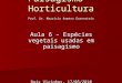 Paisagismo - Horticultura Aula 6 – Espécies vegetais usadas em paisagismo Dois Vizinhos, 17/05/2010 Prof. Dr. Mauricio Romero Gorenstein