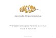 Contexto Organizacional Professor Douglas Pereira da Silva Aula 4 Parte B 1DPS Proc ADM 2009