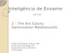 Inteligência de Enxame 2 – The Ant Colony Optimization Metaheuristic CPE-730 Filipe de Almeida Araujo Vital Aluno de Graduação em Engenharia de Controle