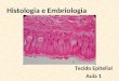 Histologia e Embriologia Tecido Epitelial Aula 1