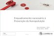 Enquadramento necessário à Prevenção da Nanopoluição 6/26/2008One day Paulo Partidário - INETI Teresa Vieira - ICEMS