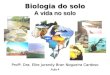 Profª. Dra. Elke Jurandy Bran Nogueira Cardoso Aula 4 Biologia do solo A vida no solo