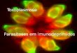 Toxoplasmose Parasitoses em imunodeprimidos. isolado em 1908 de um roedor do deserto: o gondi cosmopolita em carnívoros, herbívoros, insetívoros, roedores,
