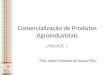 Comercialização de Produtos Agroindustriais UNIDADE 1 Prof. Hildo Meirelles de Souza Filho