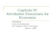 Capítulo IV Atividades Essenciais da Economia PRODEMA Curso de Nivelamento Prof. Rogério César P. de Araújo Janeiro - 2008