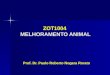 ZOT1004 MELHORAMENTO ANIMAL Prof. Dr. Paulo Roberto Nogara Rorato