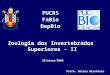 Zoologia dos Invertebrados Superiores - II PUCRS FaBio DepBio Profa. Betina Blcohtein 22/março/2006